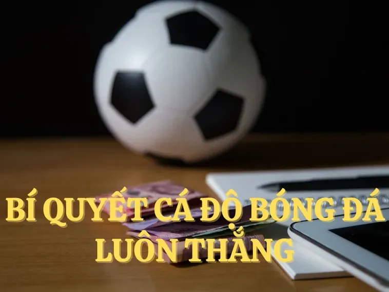 Khám Phá Cá Cược Bóng Đá 8KBet Ngay Hôm Nay Để Thắng Lớn!