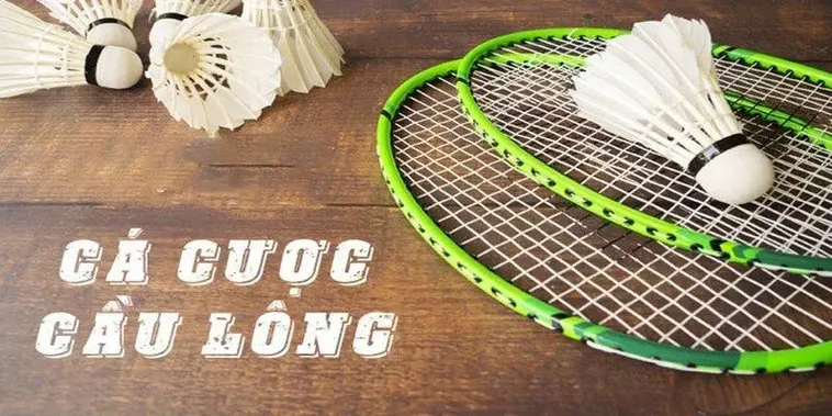 Tham Gia Cá Cược Cầu Lông 8KBet Để Thắng Lớn Mỗi Trận