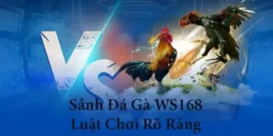 Chơi Đá Gà WS168 8KBet Ngay Hôm Nay Để Thắng Thưởng Lớn