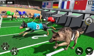Cách Chơi Game Nhanh Đua Chó Tại 8KBet Thắng Lớn Dễ Dàng