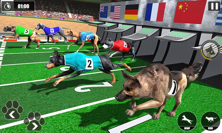 Cách Chơi Game Nhanh Đua Chó Tại 8KBet Thắng Lớn Dễ Dàng